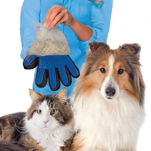 🐶 2-in-1 Fellpflege- und Massagehandschuh für Hunde & Katzen   (2in1 Pet Deshedding and Massage Glove - Dog or Cat Hair )Grooming Right
