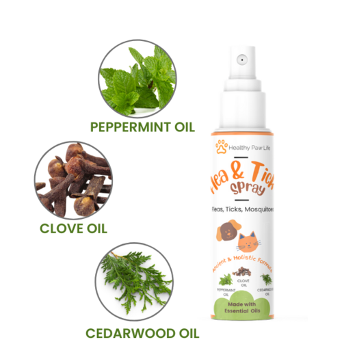 Flea & Tick  Shampoo for  Pets - Powered by  Plant based Natural