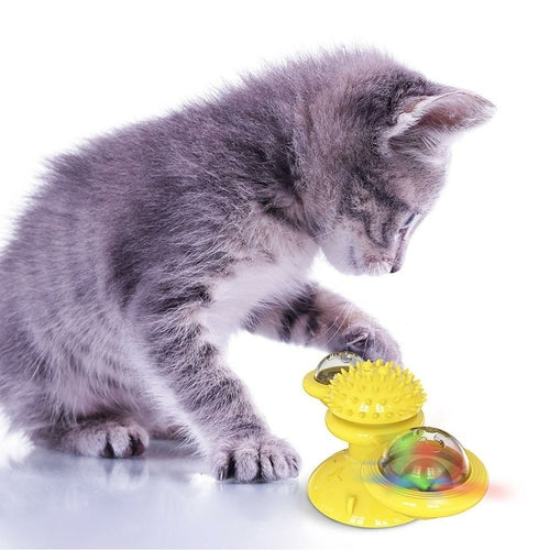 Interaktiver LED-Spielball für Katzen 

✔️ Hält deine Katze aktiv und beschäftigt.
✔️ Leuchtet und dreht sich automatisch.
✔️ Einfache Befestigung an glatten Oberflächen.
✔️ Ideal für Wohnungskatzen.
✔️ Robustes und langlebiges Material