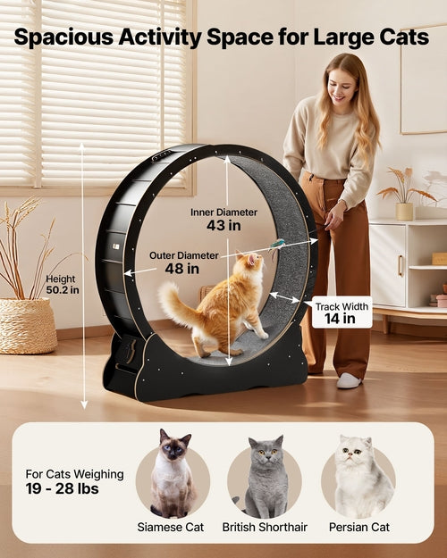 Cat Exercise Wheel, 120 cm Wooden Cat Running Wheel for Indoor Cats up