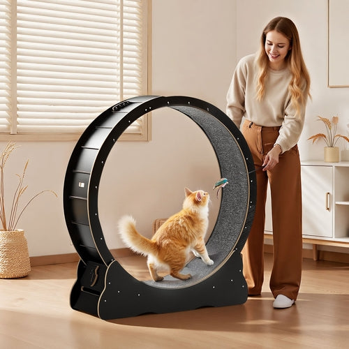 Cat Exercise Wheel, 120 cm Wooden Cat Running Wheel for Indoor Cats up